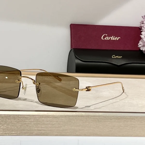 Cartier C de Cartier Precious Sunglasses featuring elegant gold-tone C hinges and gradient lenses, placed on a clean white surface