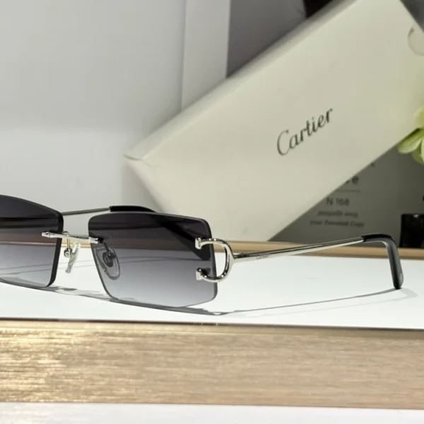Close-up of Cartier Décor C classique de Cartier sunglasses highlighting signature C decor and refined metal detailing