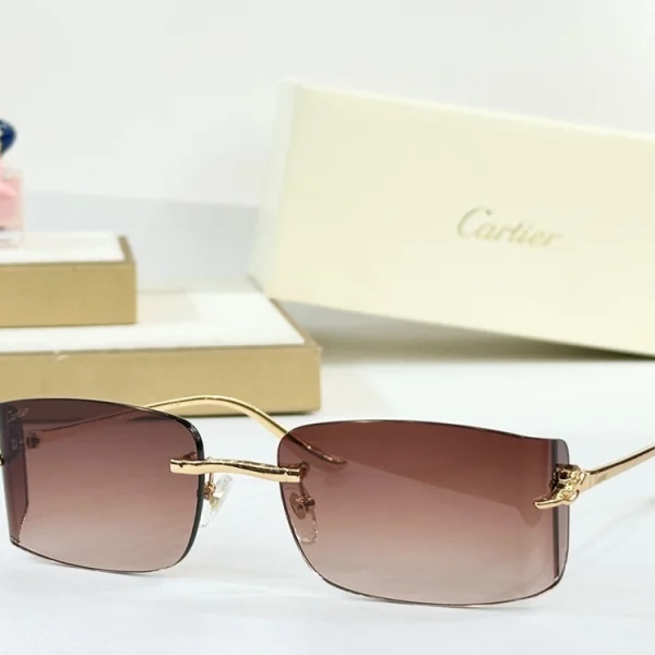 Cartier sunglasses from Panthère collection displayed with signature red box and authenticity booklet