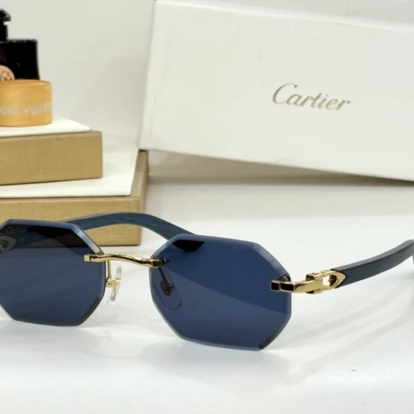 Close-up of Cartier C Allongé de Cartier sunglasses showing minimalist silhouette and refined temple design