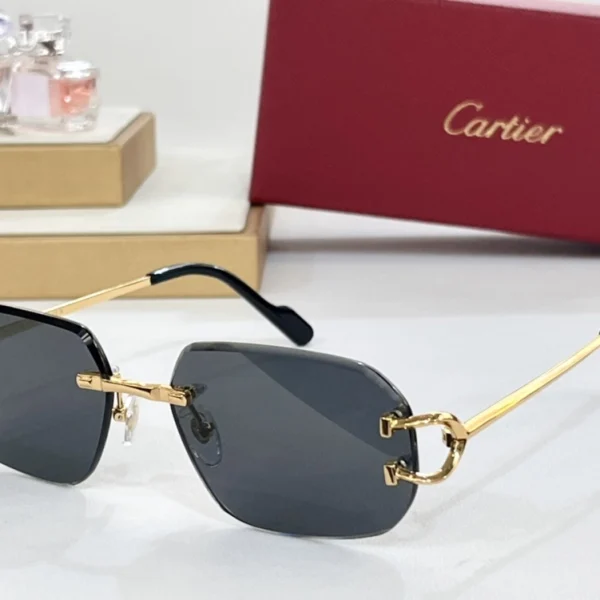 Cartier Classic C de Cartier sunglasses displayed under warm natural light, showing subtle branding and high-quality materials