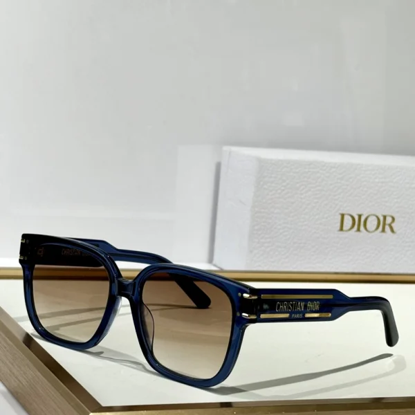 Close-up of Dior DiorSignature S7F sunglasses highlighting gold Dior logo on bold temples